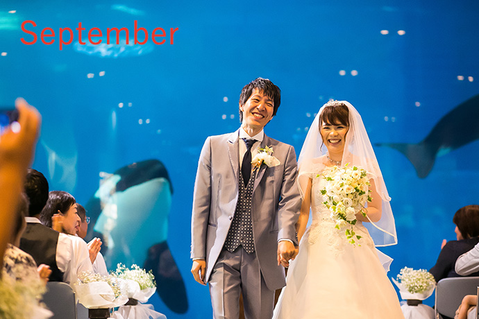 夢みてた名古屋港水族館結婚式！